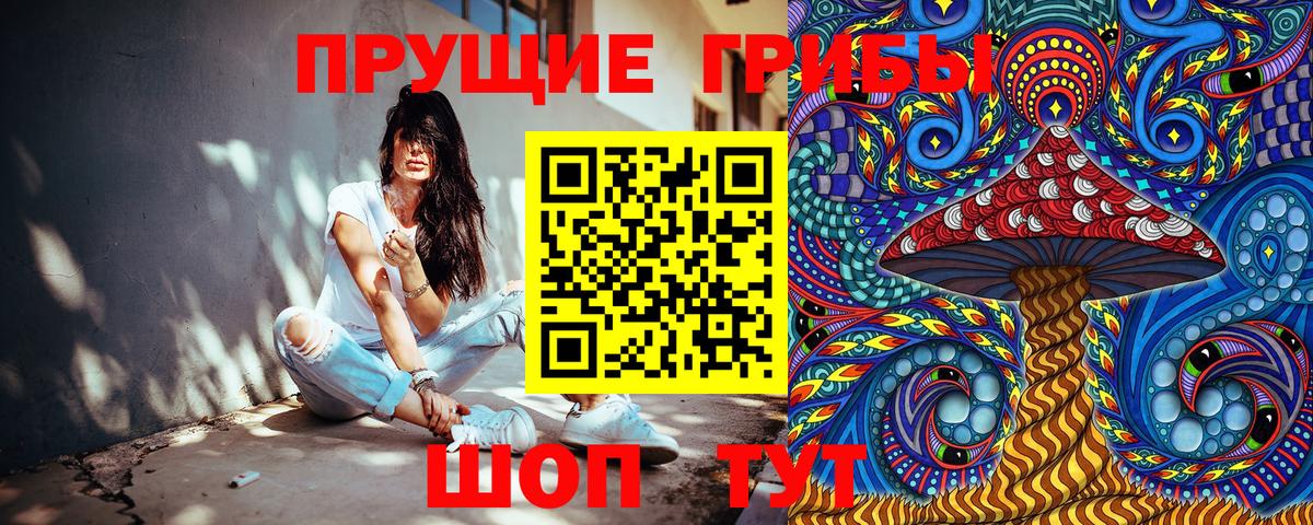сколько стоит  Псилоцибиновые грибы Psilocybine cubensis  Унеча  Вход с VPN  Псилоцибиновые грибы MAGIC MUSHROOMS 